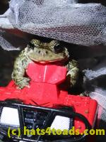 /home//u458753944/public_html/sourcegallery//////////McKaig Nature Center/2020-10-11/PA110734.JPG
